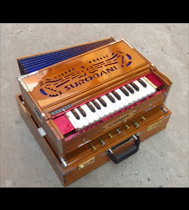 Harmonium Dealers in France